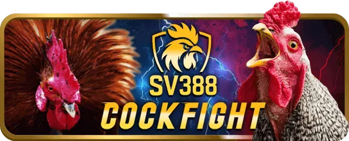 Tương Tác & Cộng Đồng VNZ66
