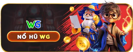 Giấy phép hoạt động VNZ66