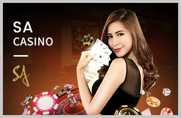 Chương Trình VIP VNZ66